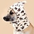 baratos Bandanas e Chapéus-Cachorros Gatos Bandana de cachorro e chapéu de cachorro Moda Casual Inverno Prova-de-Água Respirável Macio Lavável Confortável Casual / Diário Roupas para cães for Bichon Frise Pomerânia Animais de