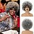 cheap Black &amp; African Wigs-Short Afro Wig for Black Women Smoky Gray Afro Wigs Unisex Men Women Large Bouncy and Soft Natural Looking Hair Short Afro Kinky Curly Premium Synthetic Wig