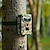 preiswerte Digitalkamera-2023 aktualisierte Version der neuen Wildkamera-Fotofallen, 12 MP, 1080p, bewegungsausgelöste Jagd-Wildkamera-Falle, wasserdichte IP66-Nachtsicht-Trail-Kamera für den Außenbereich