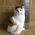 halpa Nuket-simuloitu eläin kissa luova koristelu koristelu simuloitu kissamalli kyykyssä kissa persialainen kissa kukka kissa kyykky kissa pieni kissa