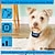 זול אילוף כלבים-קולר הלם כלבים קולר אילוף לכלבים עם קולר חשמלי לכלב חשמלי עמיד למים עם ביפ רטט הלם אור ומצב נביחות מתאים לכלבים גדולים בינוניים קטנים ולגור