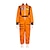 cheap Career &amp; Profession Costumes-Men&#039;s Women&#039;s Boys Girls&#039; Astronaut Cosplay Costume For Halloween Carnival Masquerade Cosplay Kid&#039;s Adults&#039; Leotard / Onesie