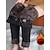 cheap Women&#039;s-Women&#039;s Matching Sets Outfit Warm Teddy Solid Color Street Long Sleeve Fall &amp; Winter Hoodie Button Pocket