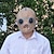 levne Masky-předvečer Všech svatých Maska / Halloween rekvizity Legrační Strašidelný kostým Dospělé Pánské / Dámské předvečer Všech svatých / Karneval / Mardi Gras Jednoduché Halloweenské kostýmy Oblékněte se