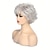 Χαμηλού Κόστους παλαιότερη περούκα-Συνθετικές Περούκες Σγουρά Κούρεμα νεράιδας Περούκα Κοντό Γκρι Ξάνθο Ανοικτό Συνθετικά μαλλιά Γυναικεία Μοδάτο Σχέδιο Ρυθμιζόμενο Άνετα Ξανθό Σκούρο γκρι