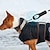 cheap Dog Training &amp; Behavior-Pet Trainer Dog Trainer Remote Control Dog Trainer Ultrasonic Remote Control Anti Barking Tool Dog Collar