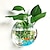 olcso Művirágok és vázák-ingyenes lyukasztó hidroponikus növénytartó, lakberendezési edény falra akasztható buborék akvárium tál akvárium akvárium otthoni miniedény (növény nélkül)