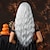 Χαμηλού Κόστους Συνθετικές Trendy Περούκες-Συνθετικές Περούκες Στολές Κοστούμια καριέρας Πριγκίπισσα Σγουρά Κυματιστό Μέσο μέρος Κούρεμα με φιλάρισμα Μηχανοποίητο Περούκα 26 ίντσες Ασημί Συνθετικά μαλλιά Γυναικεία Στολές Ηρώων Πάρτι Μοντέρνα