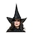cheap Halloween Carnival Costumes-Witch Dress Cosplay Costume Hat Cloak Party Costume Adults&#039; Women&#039;s Cosplay Performance Party Halloween Halloween Carnival Masquerade Easy Halloween Costumes
