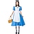 Χαμηλού Κόστους Στολές με Θέμα Ταινίες &amp; TV-Alice in Wonderland Κοστούμια υπηρέτριας Πριγκίπισσα Φορέματα Φόρεμα κορίτσι λουλουδιών Φορέματα από Τούλι Γυναικεία Στολές Ηρώων Ταινιών Στολές Ηρώων Μπλε Απόκριες Μασκάρεμα