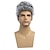 cheap Mens Wigs-Mens Grey Wig Short Curly Grey Wig Synthetic Heat Resistant Costumes Natural Halloween Cosplay Hair Wig