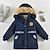 cheap Outerwear-Kids Boys Down Coat Outerwear Solid Color Long Sleeve Coat Outdoor Cool Adorable Daily Black Blue Brown Winter 3-7 Years