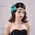 cheap Historical &amp; Vintage Costumes-Retro Vintage Roaring 20s 1920s Headpiece Flapper Headband Feathers Headband The Great Gatsby Women&#039;s Cosplay Costume Halloween Party Masquerade Headwear