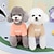 cheap Dog Clothes-Pet Clothing With Cloud Plush Bottom Pet Cotton Jacket Teddy Dog Clothing Cat Autumn And Winter Clothing