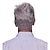 abordables Pelucas hombre-Pelucas cortas de color gris y blanco para hombre, pelo corto esponjoso y realista, peluca de anciano, pelo natural de uso diario para hombre, pelo sintético resistente al calor, pelucas completas de