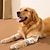 voordelige Hondenkleding-kniebescherming voor huisdieren elleboogbescherming voor honden kleding beenbescherming gouden haar brandhout slijtvastheid voor honden vuilbestendigheid en asbestendigheid middelgrote grote