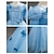Χαμηλού Κόστους Στολές με Θέμα Ταινίες &amp; TV-Frozen Πριγκίπισσα Έλσα Φόρεμα κορίτσι λουλουδιών Στολή θεματικού πάρτι Φορέματα από Τούλι Κοριτσίστικα Στολές Ηρώων Ταινιών Στολές Ηρώων Απόκριες Μπλε 1 Μπλε Ουρανί Απόκριες Μασκάρεμα