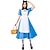 Χαμηλού Κόστους Στολές με Θέμα Ταινίες &amp; TV-Alice in Wonderland Κοστούμια υπηρέτριας Πριγκίπισσα Φορέματα Φόρεμα κορίτσι λουλουδιών Φορέματα από Τούλι Γυναικεία Στολές Ηρώων Ταινιών Στολές Ηρώων Μπλε Απόκριες Μασκάρεμα