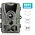 cheap Indoor IP Network Cameras-Capture Wildlife in Action HC-801A Hunting Trail Camera With Night Vision &amp; Motion Activation