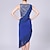 cheap Latin Dancewear-Latin Dance Dress Tassel Pure Color Splicing Women&#039;s Performance Training Sleeveless High Polyester