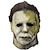 cheap Accessories-Ghost Zombie Michael Myers Mask Halloween Props Adults&#039; Men&#039;s Women&#039;s Scary Costume Halloween Carnival Mardi Gras Easy Halloween Costumes