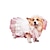 voordelige Hondenkleding-hond trouwjurk hoofdtooi jurk prinses jurk trouwjurk huisdier bladerdeeg jurk kat bruiloft corgi foto kleding