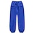 ieftine îmbrăcăminte exterioară activă pentru femei-ARCTIC QUEEN Bărbați Pentru femei Pantaloni de Schi În aer liber Iarnă Termic cald Impermeabil Rezistent la Vânt Respirabil Pantaloni pentru Schiat Camping / Drumeții Schi Sporturi de Iarnă