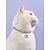 お買い得  犬用首輪＆ハーネス＆リード-犬用 猫用 ネックレス キュートで愛らしい デコレーション 耐久 安全用具 安全用具 愛らしいです ウォーキング ハート PP コーギー 柴犬 ビジョンフリーゼ チワワ ポメラニアン 赤ちゃんサイズ マルチカラー ピンク 1個