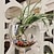 cheap Artificial Flowers &amp; Vases-Free Punching Hydroponics Planter, Home Decoration Pot Wall Hanging Mount Bubble Aquarium Bowl Fish Tank Aquarium Home Minipot (Without Plant) Wedding Decoration