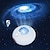 Χαμηλού Κόστους Λαμπτήρας Προβολέα &amp; Προβολέας Λέιζερ-1 τμχ προβολέας βόρειου γαλαξία φως σέλας με 33 εφέ φωτός νυχτερινά φώτα προβολέας led star για τηλεχειριστήριο λυχνίας νεφελώματος κρεβατοκάμαρας λευκοί θόρυβοι