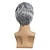 billiga Herrperuker-herr grå peruk kort lockig grå peruk syntetisk värmebeständig kostym naturlig halloween cosplay hår peruk