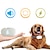 Χαμηλού Κόστους Εκπαίδευση για Σκύλους &amp; Συμπεριφορά-έξυπνη συσκευή διακοπής γαβγίσματος κατοικίδιων γαβγίσματος κολάρο σκύλου αδιάβροχο υπερηχητικό πλήρως αυτόματο ηλεκτροσόκ κατά του γαβγίσματος εκπαιδευτής σκύλων