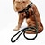 preiswerte Halsbänder, Geschirre und Leinen für Hunde-PP-Band gewebtes rundes Hundeseil, Hundebrustgurt, Zugseil, Hundeseil, Heimtierbedarf