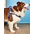 お買い得  犬用首輪＆ハーネス＆リード-犬猫ハーネス調節可能なベストスポーツ調節可能な屋外レタークラシックポリエステル小型犬中型犬大型犬ブルー 1pc