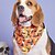 economico Bandane e Cappelli-Prodotti per cani Prodotti per gatti Bandana per cani Accessori per bavaglini a triangolo Di tendenza Divertente Traspirante Morbido Lavabile Comodo Feste Halloween Da letto Casual / quotidiano