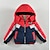 cheap Outerwear-Toddler Boys Hoodie Jacket Outerwear Kids Puffer Jacket Solid Color Letter Long Sleeve Button Coat Outdoor Cotton Fashion Daily Yellow Red Blue Winter 1-3 Years