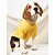 cheap Dog Clothes-1 piece of sweater pocket bear dog cat bathroom clothes autumn and winter plush small dog warmth pet supplies