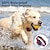 cheap Dog Training &amp; Behavior-Bark Collar for Dogs Bark Shock Collar Automatic Anti Barking Collar with Beep &amp; Shock Bark Collar Adjustable Sensitivity for All Breeds of Dogs