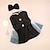 preiswerte Kleider-Hund Katze Kleid Mode Niedlich Winter Weich Waschbar Bequem Outdoor Party Geburtstag Hundebekleidung for Bichon Frise Pudel Zwergspitz Baby Haustier Papillon