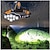 abordables linternas tácticas-8led fuerte luz de cabeza calva de largo alcance searchusb carga al aire libre faro camping pesca nocturna cob linterna frontal roja