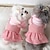 economico Vestiti-Cane Gatto Vestito Moda Carino Inverno Morbido Lavabile Confortevole All&#039;aperto Casual Quotidiano Abbigliamento per Cani for Bichon Frisé Barboncino Volpino di Pomerania Cucciolo Papillon