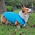 cheap Dog Clothes-Fall winter fashion brand pet puppy dog clothes vest Schnatzer Ricokee teddy bee bear fight Pomerama down jacket