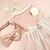 preiswerte Kleider-Hund Katze Kleid Mode Niedlich Winter Weich Waschbar Bequem Outdoor Party Geburtstag Hundebekleidung for Bichon Frise Pudel Zwergspitz Baby Haustier Papillon