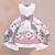 voordelige 3D-jurken voor meisjes-Meisjes 3D Bloemig Feestjurk Roze Mouwloos 3D-afdrukken Zomer Lente Herfst Feest Speciale gelegenheden  Verjaardag Elegant Prinses Mooi Kinderen 3-12 jaar Feestjurk Swingjurk A lijn jurk Boven de knie