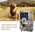 cheap Outdoor IP Network Cameras-Trail Camera with Night Vision Motion Activated, Waterproof 1080P 12Mp Infrared Game Camera for Hunting, Cellular Scouting Trail Cameras with Wide Angle Lens for Wildlife Monitoring