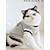 preiswerte Hundekleidung-Hunde Katzen Mäntel Fleeceweste Modisch Cool Outdoor Sport Hundekleidung Welpenkleidung Hunde-Outfits Warm Grau Kostüm für Mädchen und Jungen Hund Gestrickt S M L XL