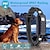 billiga Hundträning-4000 fot träningshalsband för hundträning med blinkande ljus för nattpromenader justerbar tonhöjd pip vibration stöt knapplås uppladdningsbar ipx7 vattentät