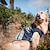 זול בגדים לכלבים-petstyle מפוספס כלב גדול מעיל דו רגליים שיער זהוב samoye האסקי מעיל ארבע רגליים