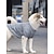 Недорогие Одежда для собак-толстовка для собак однотонная классическая для использования в помещении и на улице для спорта на открытом воздухе одежда для собак одежда для щенков одежда для собак теплый серый костюм для девочек и мальчиков полиэстер для собак 3xl 4xl 5xl
