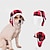 abordables Vêtements pour chiens-Couvre-chef pour animaux de compagnie, mignon chien en peluche, déguisement tournesol, perruque, chapeau d&#039;halloween pour chat